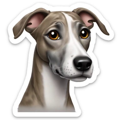 Whippet brindle sticker