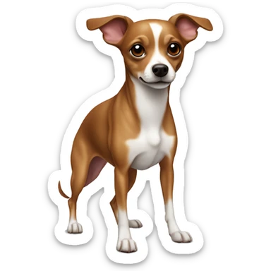 Reddish brown chihuahua whippet mix only white on chest and paws  sticker