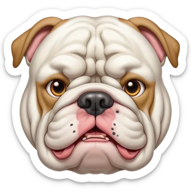 White english bulldog with underbite  sticker