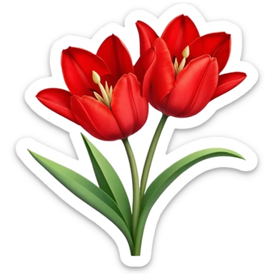 tulip flower with an amaryllis flower sticker