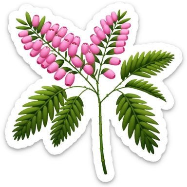 Pink Mimosa with flower  sticker