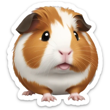 A guinea pig, it can't be like a hamster sticker