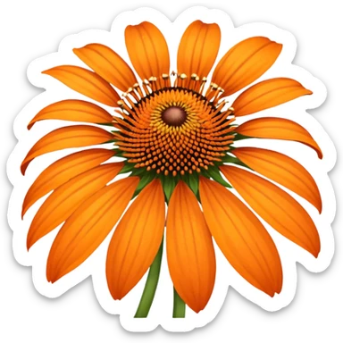 Amazing. What about orange echinacea? sticker