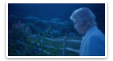 A portrait of a white person in the foreground, blurred plants in the foreground, a wooden fence and colorfull flowers in the midground, rolling hills in the background, cinematic depth of field, layered composition, moon back light (Blue night) sticker