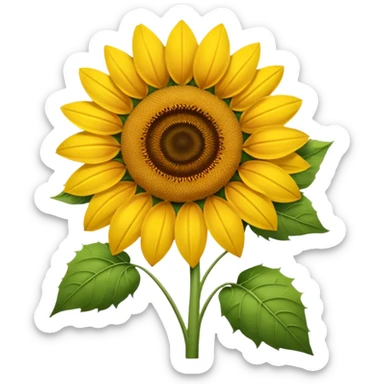 hoa hướng dương sticker