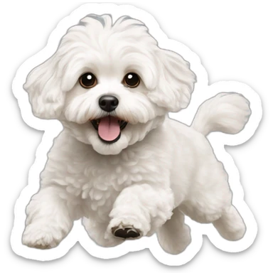 a white maltipoo jump sticker
