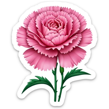 carmation flower sticker