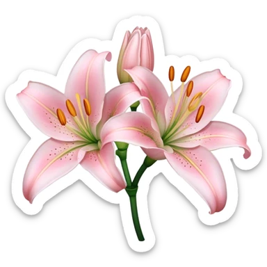 two Light pink lilly  sticker