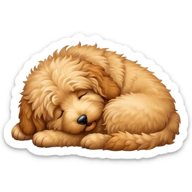 Golden doodle sleeping sticker