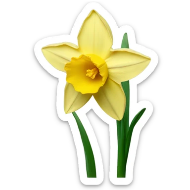 Daffodil  sticker