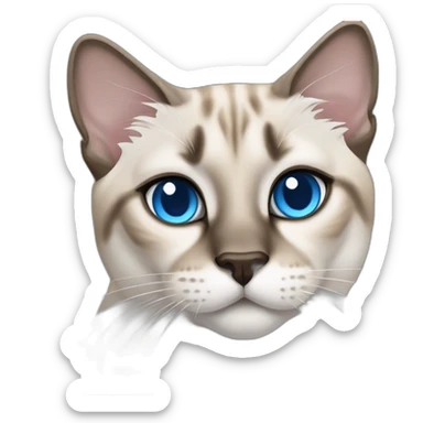 lynx-point-siamese-cat-blue-eyes sticker
