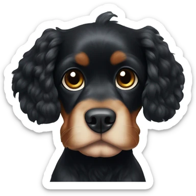 Small completely black king spaniel with black fur on his whole face and white stripe on chest sticker