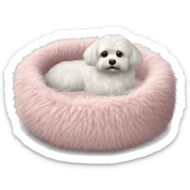 Pet bed fluffy realistic sticker