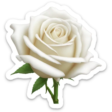 white rose sticker