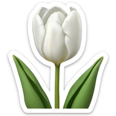 white tulips  sticker