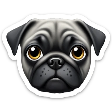 black pug with graying face sticker