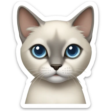 Thai breed cat with a light cream body, dark gray face, ears, and paws. Short fur, sharp ears, and striking light blue eyes with an intense gaze. sticker