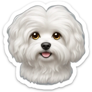 portrait of a white maltese fluffy dog with flap ears long curly hair sticker