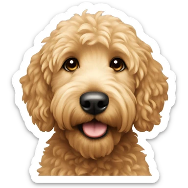 Mini golden doodle  sticker