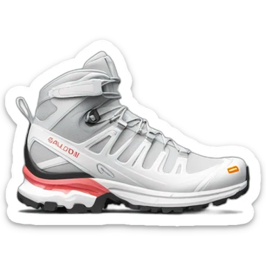 white salomon xt6 shoes sticker