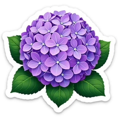 Hydrangea sticker
