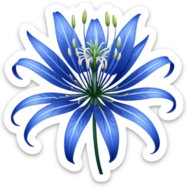 Blue spider Lily  sticker