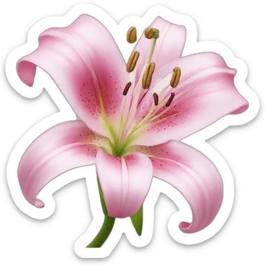 pink lily sticker