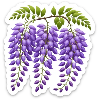 wisteria sticker