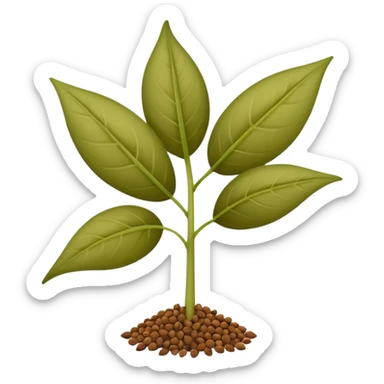 a plant which has small seeds as a spice sticker
