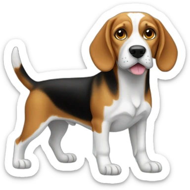 beagle，full body，bird view sticker