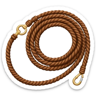 a horse lasso sticker