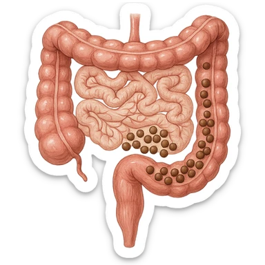 intestino umano anatomico con feci a palline sticker