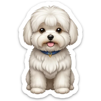 Bichon frise Lhasa apso mix sticker