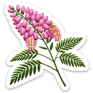 Pink Mimosa with flower  sticker
