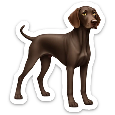 Brown German shorthair pointer sticker