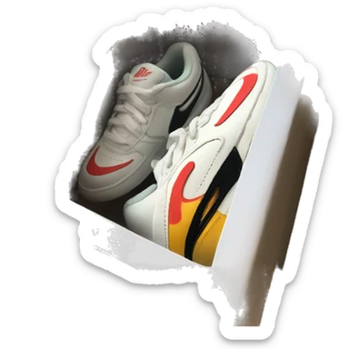 Nike shoes in shoe box sticker