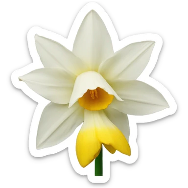 Daffodil  sticker