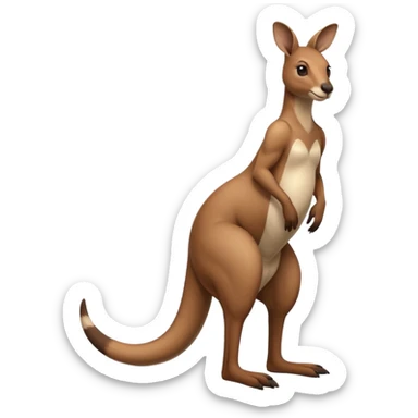 Kangaroo balancing on its tail sticker