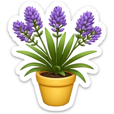 Lavanda sticker