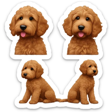 Reddisg brown goldendoodle puppy sticker