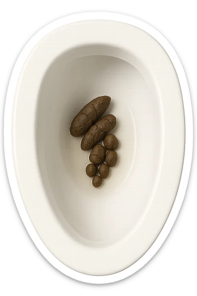 wc dentro cui cadono feci di animale a pallini, iperrealistico 4k sticker