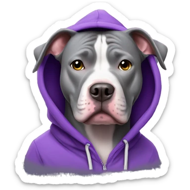 Grey pitbull dog wearing a purple hoodie sticker