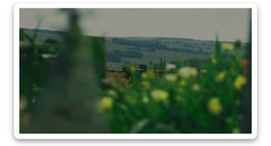"Two shot" in the foreground, blurred plants in the foreground (frame within a frame), a wooden fence and colorfull flowers in the midground, Poland, rolling hills in the background, cinematic depth of field, layered composition, natural lighting sticker