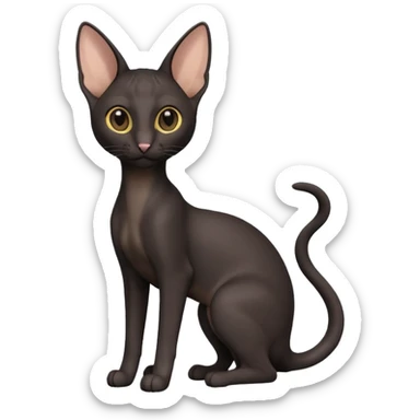 A 3D cartoon black Oriental Shorthair cat with bulky body, tall ears, reflective fur, dark cinematic background, Memoji-style. full body or half body. sticker