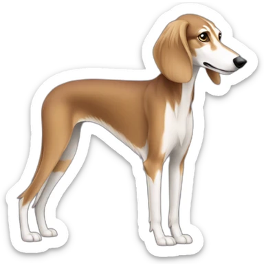Saluki in profile sticker