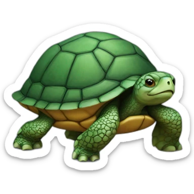 Turtle on turtle sticker