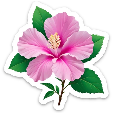 Cinematic Realistic image of a Mugunghwa flower (Rose of Sharon), rendered with delicate petal textures and vibrant pink hues, set against a minimalist background with gentle, diffused lighting that highlights its national significance sticker