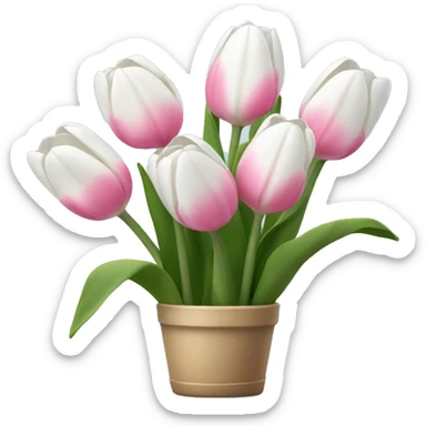 white and pink tulips sticker