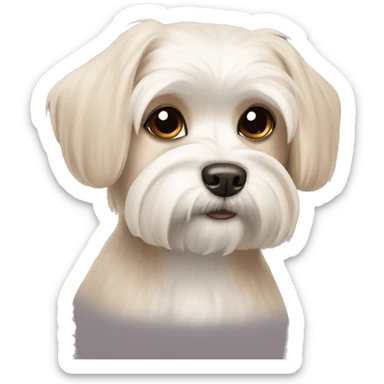 Maltese dog light brown pointed ears sticker