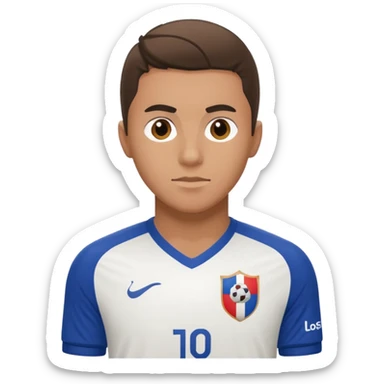 Olympique lyonnais  sticker